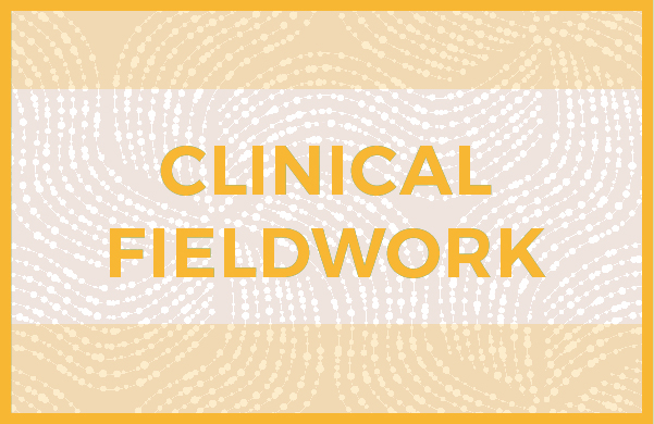 Clinical Fieldwork-02